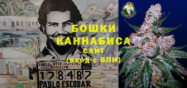 дурь Алексеевка